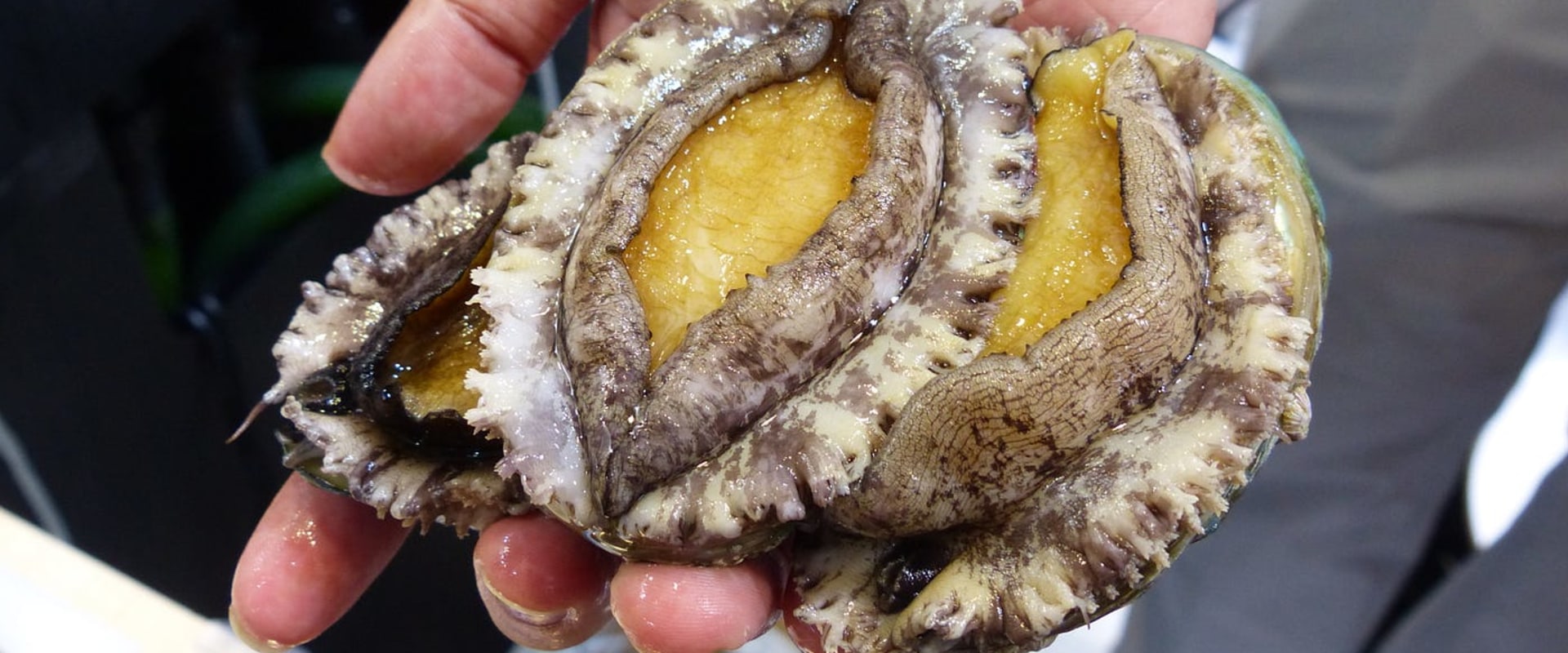 Efforts to Promote Sustainable and Responsible Practices in Abalone Farming
